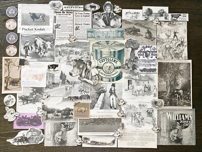 COWS! Dairy Farm Western Theme Antique Paper Scrap Junk Journal Scrapbook Crafts