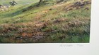Bild 2 von 4