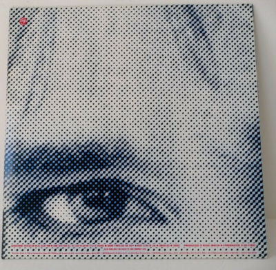 Rod Stewart - Camouflage - Japan Vinyl Insert - P-11478 | eBay