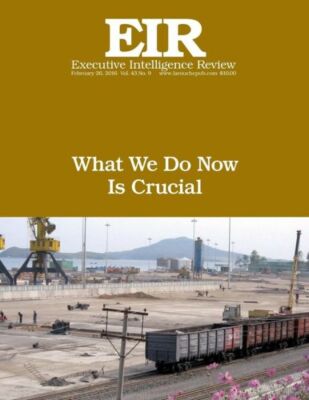 What We Do Now Is Crucial: Executive Intelligence Review; Volume 43, Issue 9