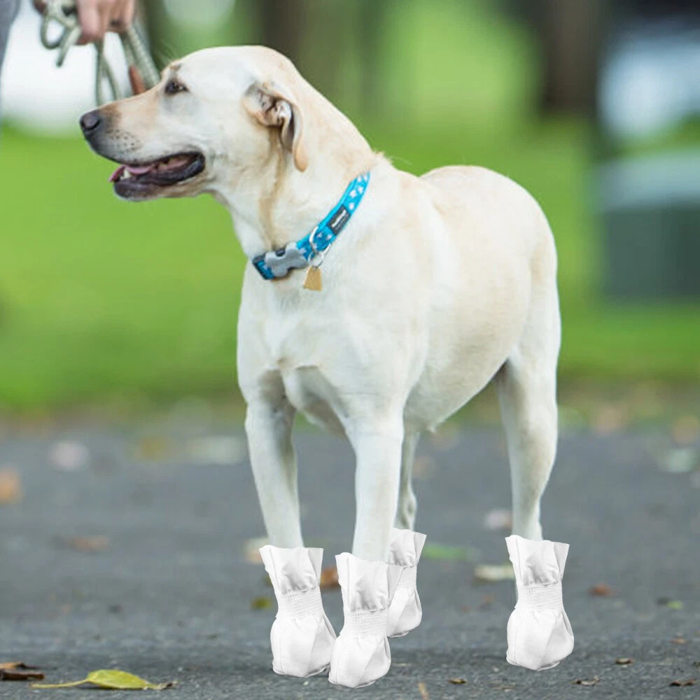 Puppy best sale paw shoes