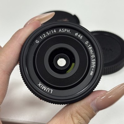 PANASONIC LUMIX G 14mm F2.5 F/2.5 ASPH AF LENS H-H014 Black | eBay