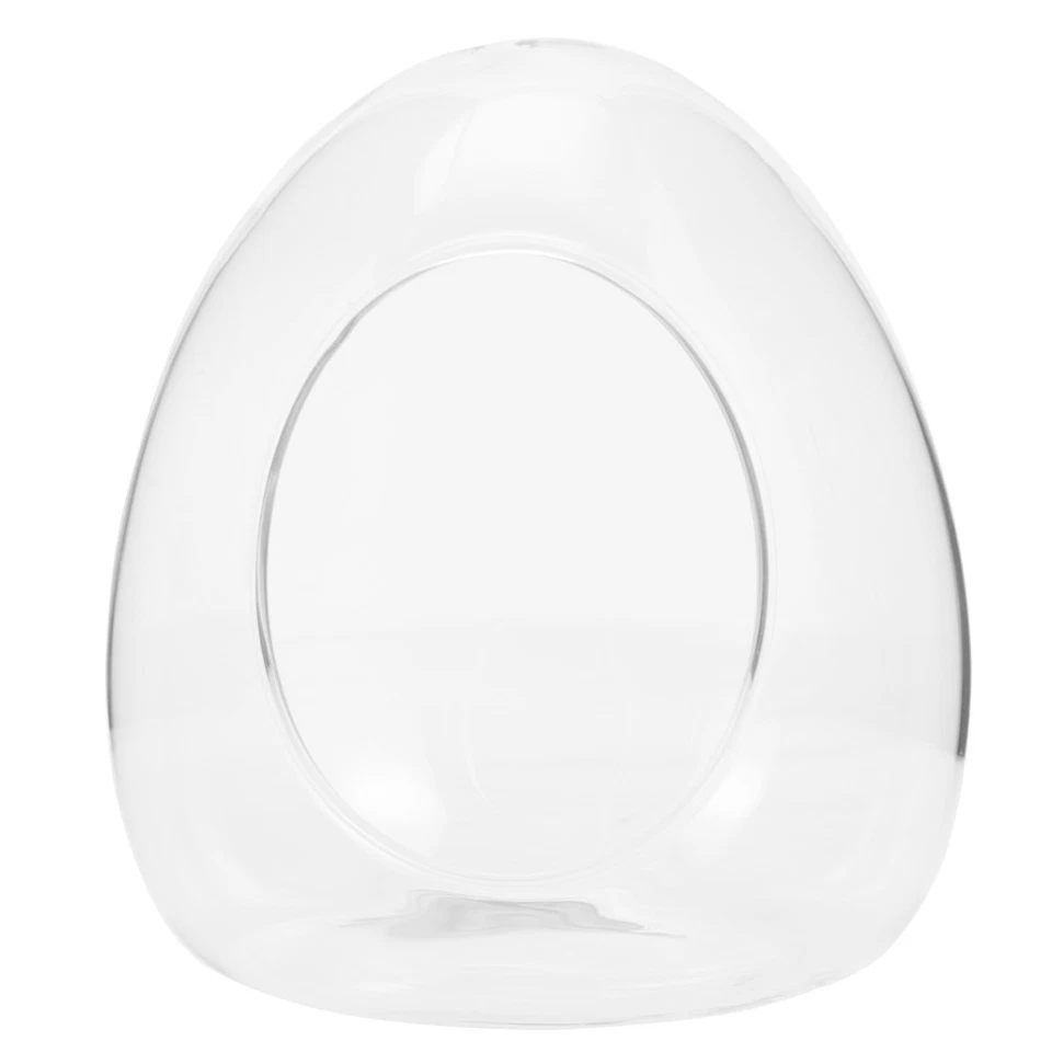 Terrarium Container Fern Holder DIY Eco Bottle Containers