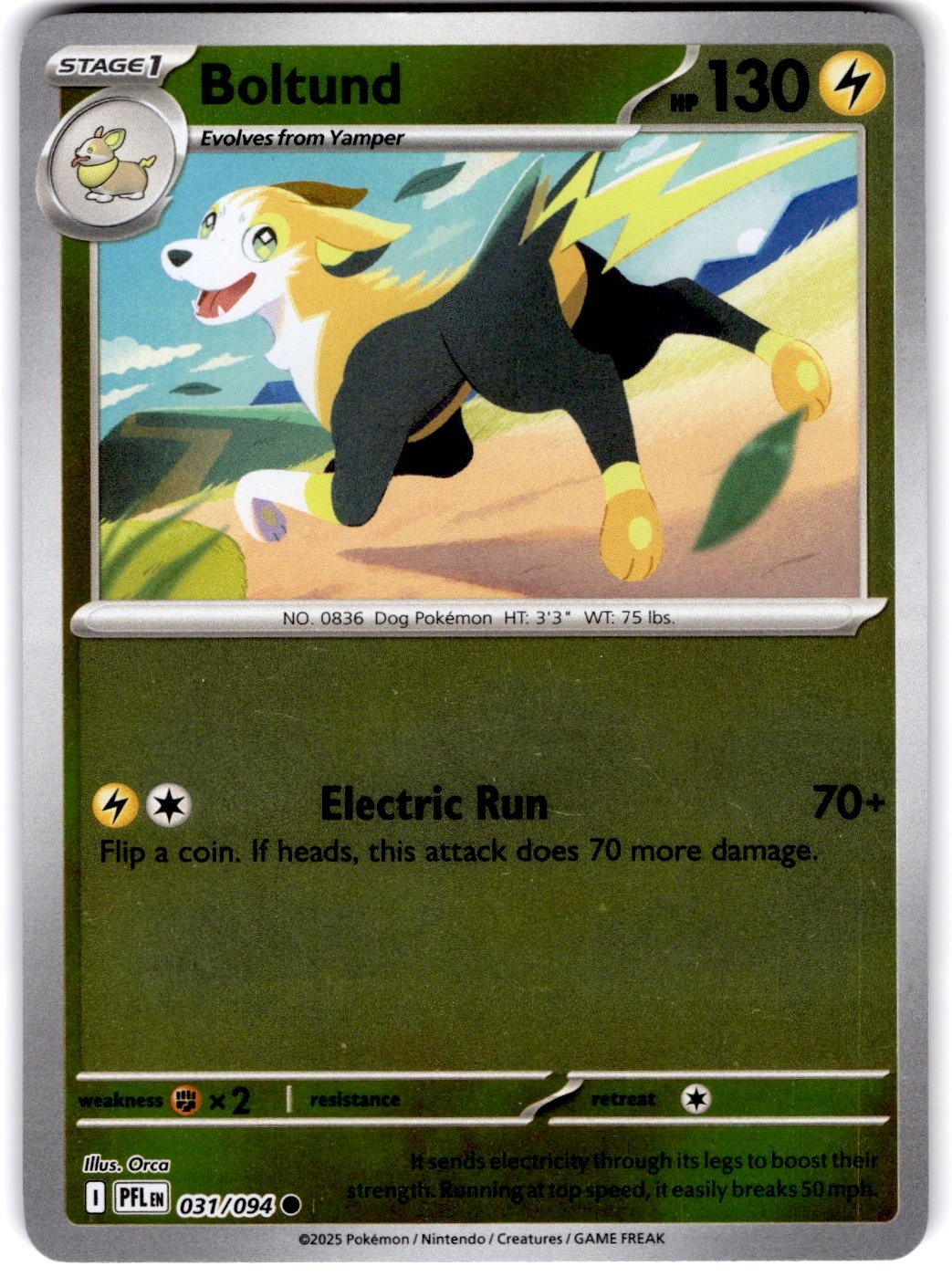 Pokemon Boltund Phantasmal Flames 31/94 Reverse Holo Near Mint English