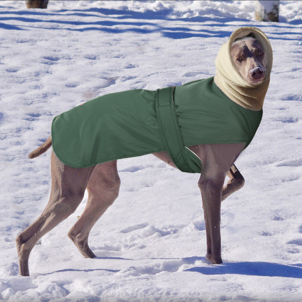 Dog Apparel Whippet Hat Greyhound Cap Warm Polar Fleece Solid Color Plush  With Ball Adjustable Drawcord Head Cover From Leginyi, $12.28