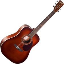 Cort Earth Series Earth70 Acoustic Guitar, So...