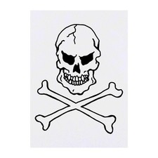 'Skull  Crossbones' Temporary Tattoos / Transfers TO00017234 