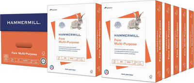 Hammermill Printer Paper, Fore Multipurpose 24 Lb Copy Paper, 8.5 X 11 - 10 Ream