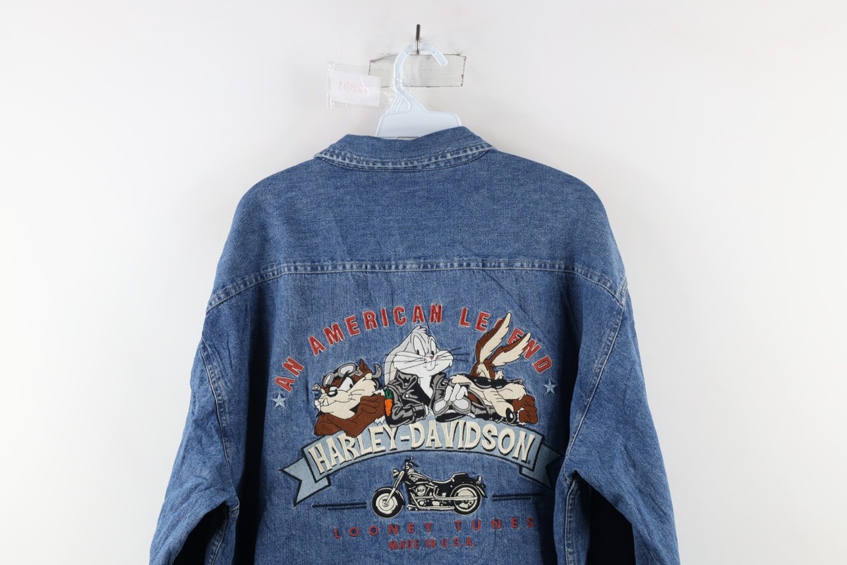 HARLEY DAVIDSON Blue flame ルーニーチューンズ Bike Walkaround: D'waynes 1989 Custom Harley FXR flame bike