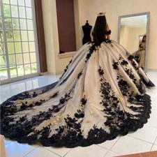 Black Ball Gown Quinceanera Dresses Sweep Train Sweet 15 16 Birthday Prom Party