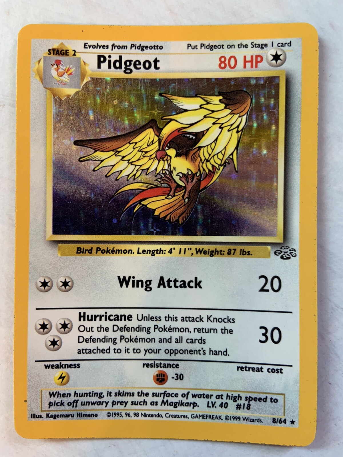 Pokémon Pidgeot 8/64 Holo Unlimited Holo Rare