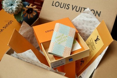LOUIS Multicolor Damier Pocket Organizer