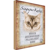 Holzschild 30X20 Cm Singapur Katze Tier Haustier Deko Geschenk Holz Schild