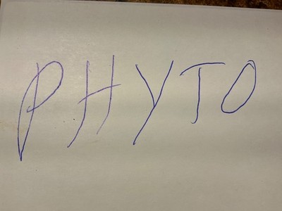 *PHYTO**