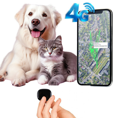 Mini 4G GPS Tracker (ohne ABO SIM Laufzeit 8 Jahre) für Haustiere Katze und Hund