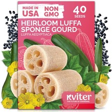 KVITER 40 Luffa Seeds Luffa Aegyptiaca   Loofa, Loofah Sponge Gourd Green