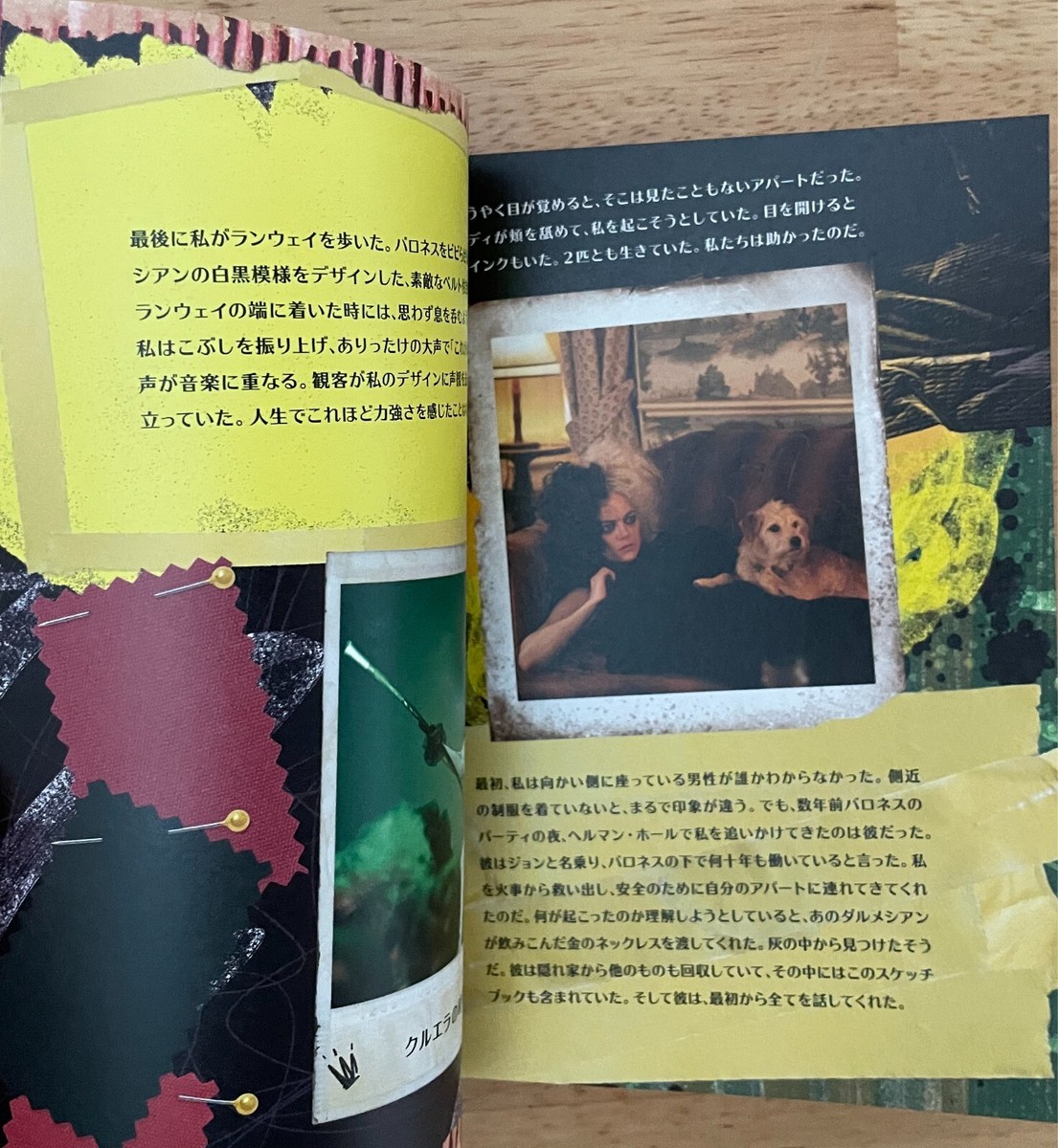 Cruella 2021 Movie Program Japan Brochure Emma Stone Emma Thompson