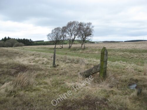 Photo 6x4 Totem poles- or railway sleepers Leadburn Signs of a vanished c c2011 - Picture 1 of 1