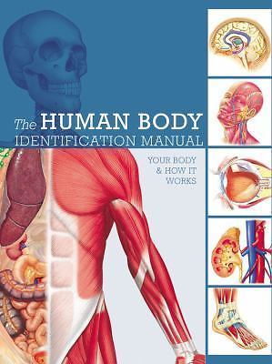 Human Body Identification Manual : Your Body and How It Works by Ken