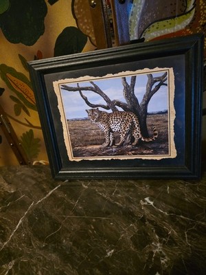 Leopard Cat Original pastel Art Frame 11 1/2 x 9 1/2 inches