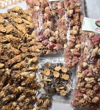 Bulk-100s Dried Saguaro & Barrel Cactus Flower Seed Pods-Crafts,Botanical,Wreath