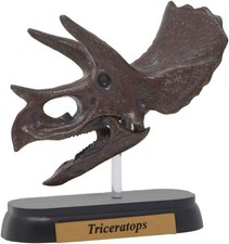 Dinosaur Triceratops Skull Mini Model FDW-502