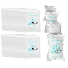 Shipping Ice Packs Reusable Small Dry Pack Sheets 48 Packs, 100g 48 Pcs 