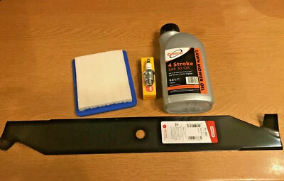 BRIGGS & STRATTON Hayter MOTIF 48 Service Kit Air Filter Spark Plug & Engine oil & Blade Quantum