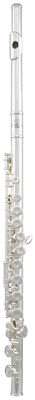 ROY BENSON FL-402 E Konzert Querflöte