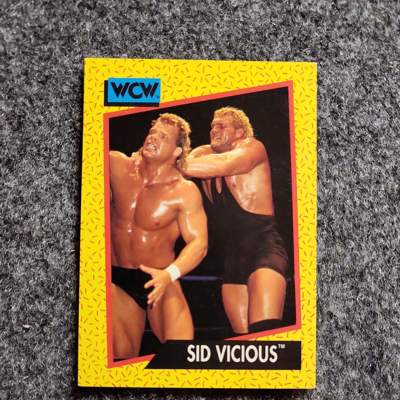 1991 Impel WCW Wrestling | Sid Vicious | #34