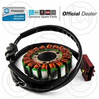 Originaler Piaggio X9 Evolution Stator Magnet FüR ABS 500 2006 2007