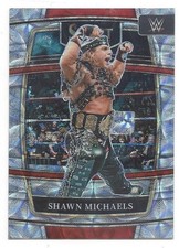SHAWN MICHAELS CARD