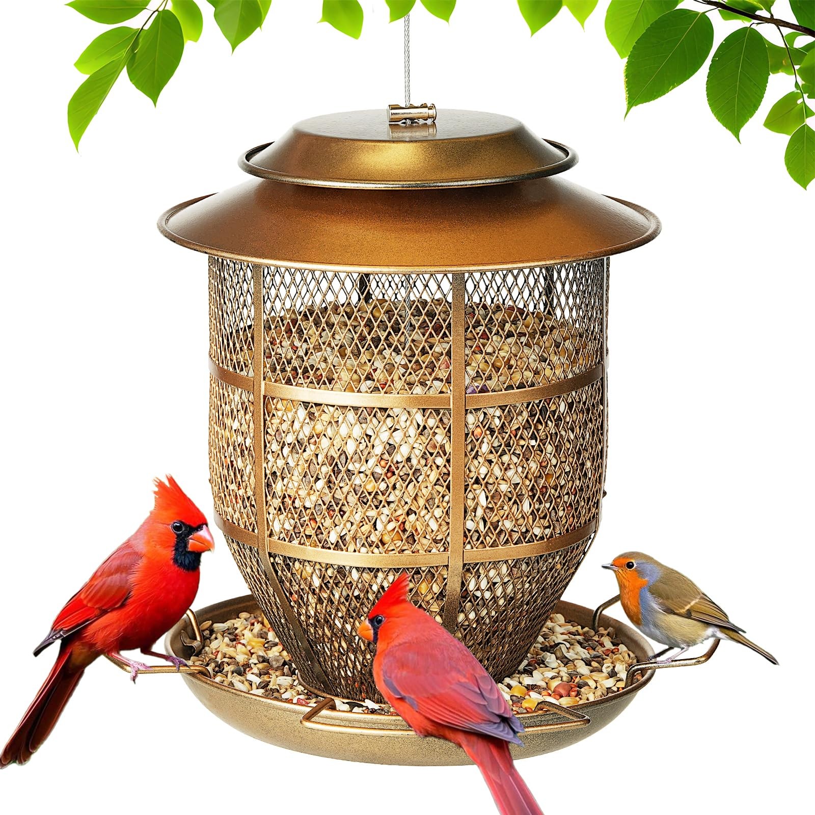 For Outdoors, Funnel Style Wild Finch Feeders For Outside Ha