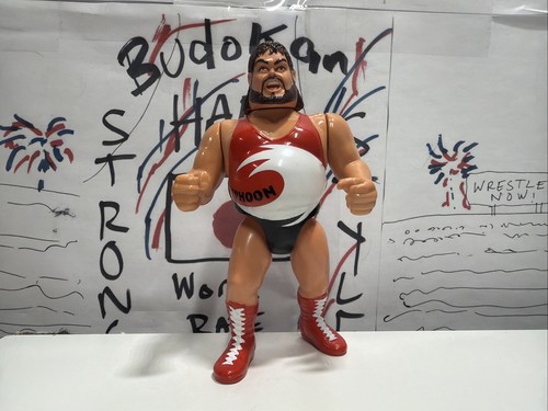 WWF Typhoon Natural Disasters Hasbro Series 3 Wres...