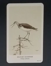 General Cigar Company Trading Card - No. 16 Solitary Sandpiper - Card 4