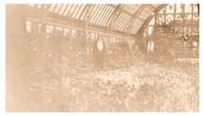 LADY IN GREEN HOUSE,OSHKOSH,WIS,1920'S.VTG 4.3" x 2.5" PHOTO/7