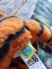 Bild 9 von 15