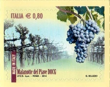 2014 Italy Republic I wines D.O.C.G. 3rd Malanotte del Piave used