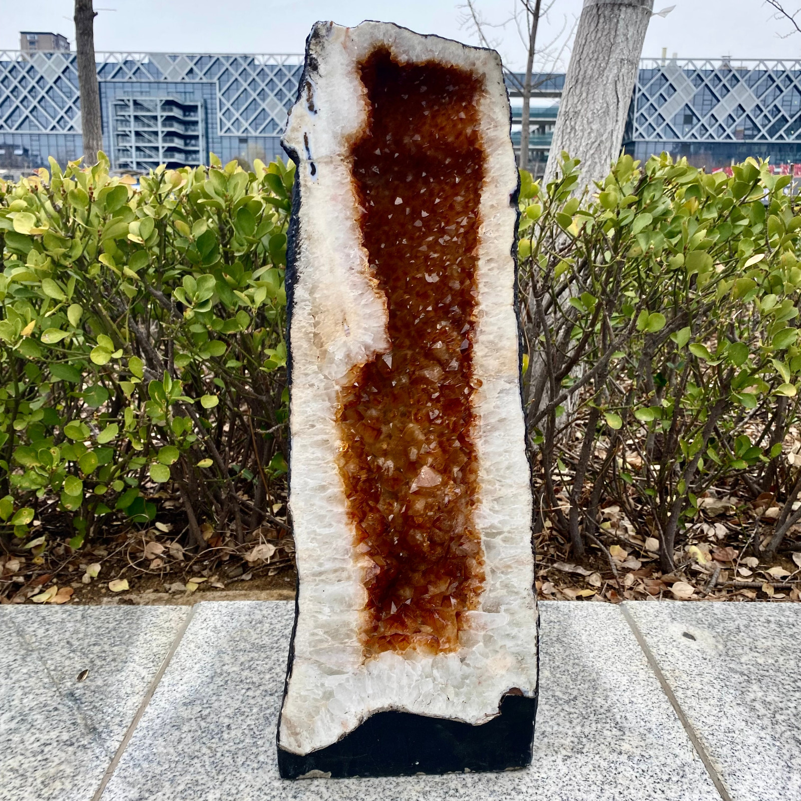 51LB Large natural citrine crystal cave quartz cluster crystal cathedral sample-