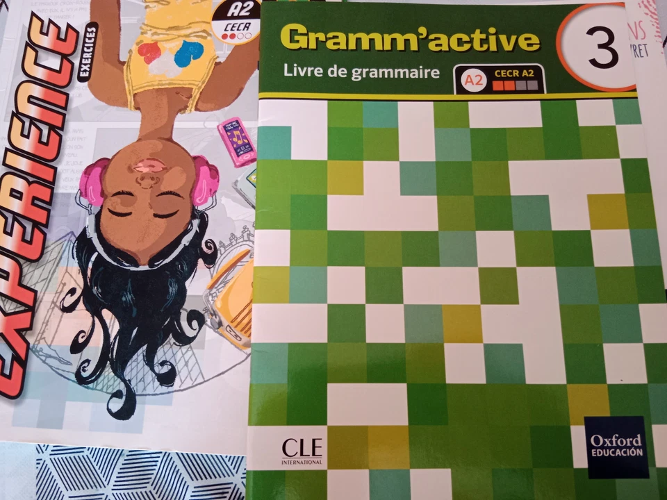 Experience 3. Libro, ejercicios y gramatica Libros de francés de 3 eso - Imagen 4 de 4