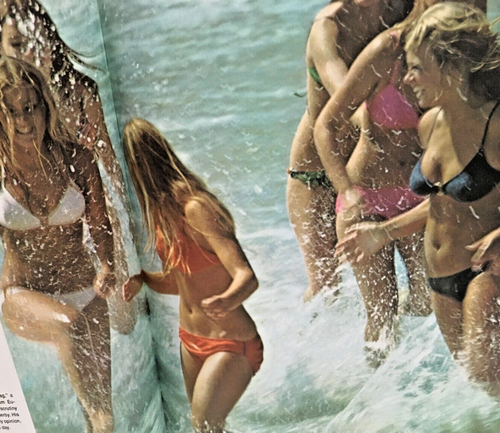 Life Magazine Special Edition THE BEST OF LIFE Hardcover Coffee Table Book - Picture 10 of 10