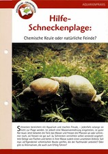 Schneckenplage im Aquarium / Aquariuminfokarte