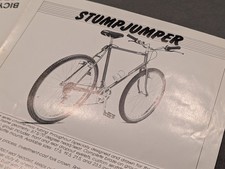 eBay Auction Picture
