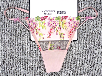 Victoria's Secret Dream Angels NWT XL Pink Wisteria Embroider V