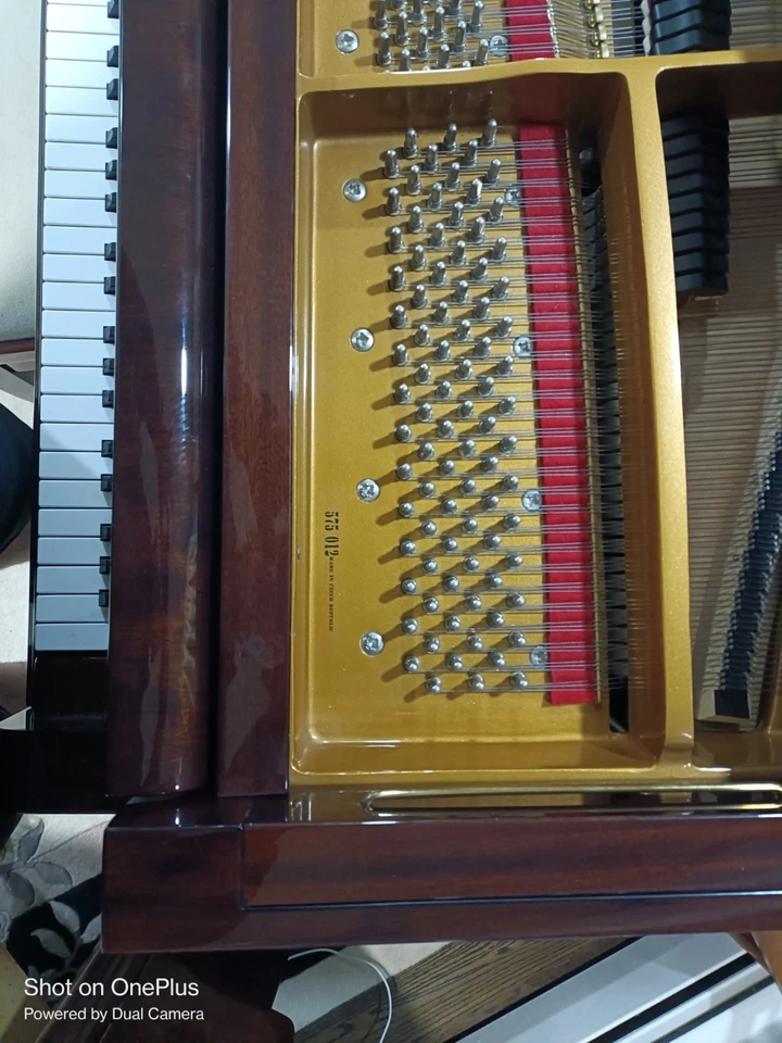 Petrof Model IV 5'8" Grand Piano in Mahogany - Image 3 of 4