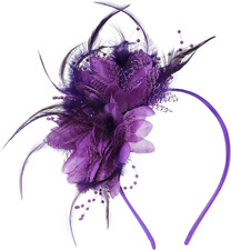 Womens Fascinators Hats Tea Party Hats for Women, Feather Pearl Veil Headband fo