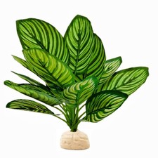 Artificial Calathea Makoyana Plant Reptile Terrarium Decor 10.2" Gecko