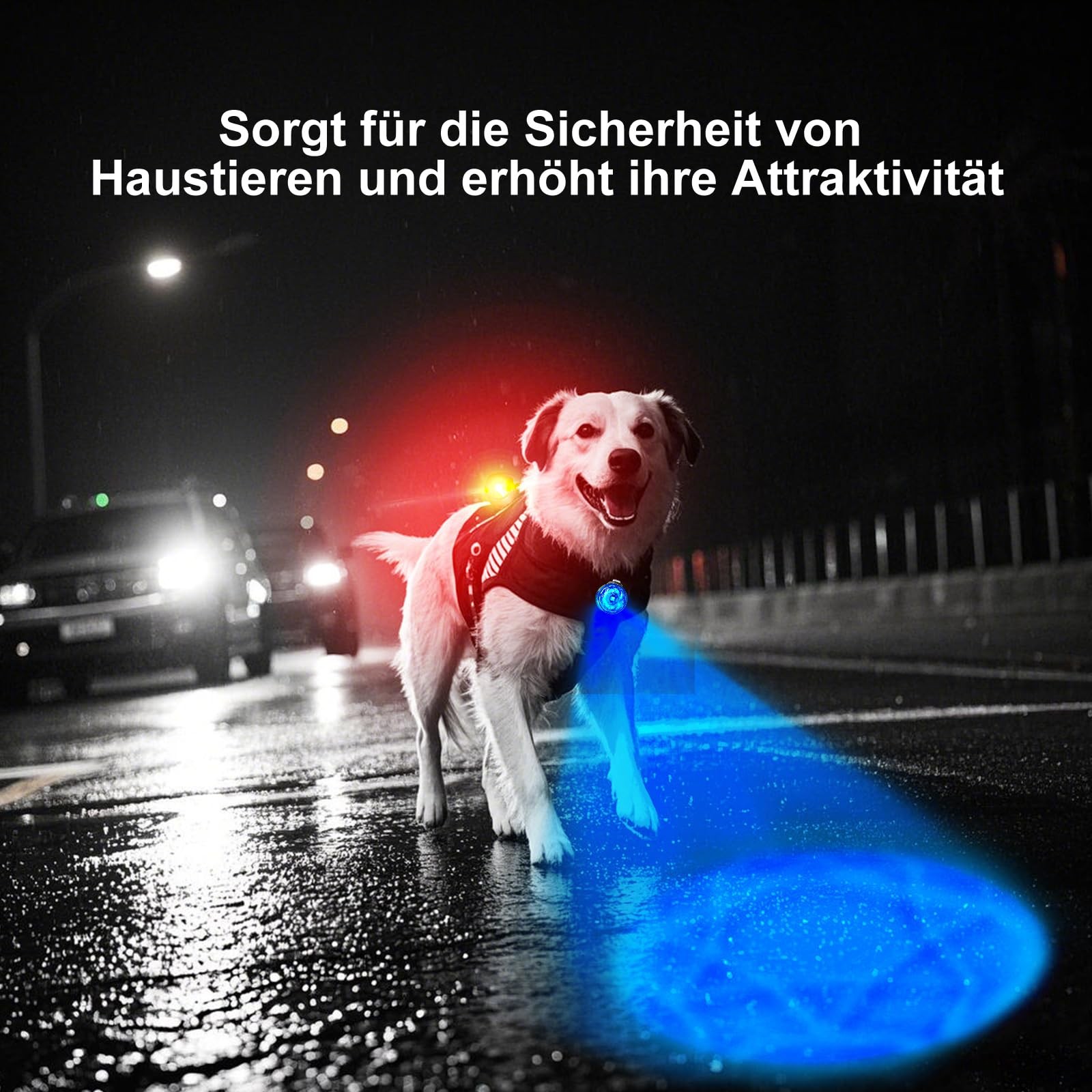 PET LIGHT Lumiere Impermeable pour Chien Lampe Collier Durable Taille Unique - 2
