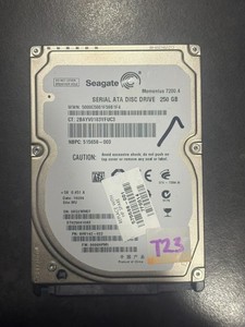 Seagate Momentus 9HV142-022 5000C5001F59B1F4 250GB SATA 2,5" Festplatte HDD