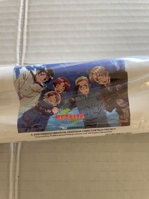 Hetalia Axis Powers Wall Art Scroll Cloth Banner Poster  Anime 2008  31 x 44